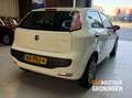 Fiat Punto Evo 1.4 Natural Power Active 5D | CNG | DEALER OH Wit - thumbnail 3