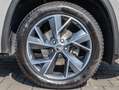Skoda Kodiaq Sportline ACC AHK RFK NAVI LED Grigio - thumbnail 7