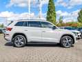 Skoda Kodiaq Sportline ACC AHK RFK NAVI LED Grigio - thumbnail 3