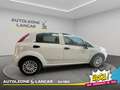Fiat Punto 5p 1.3 mjt Street 95cv 5 Posti E6 Blanc - thumbnail 8