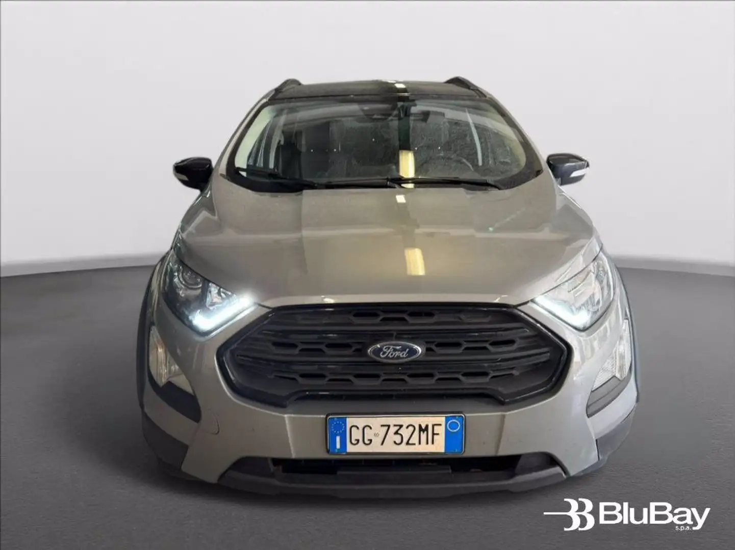 Ford EcoSport 1.0 EcoBoost 125 CV Start&Stop Active Grigio - 2