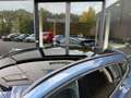 Ford Focus Wagon 1.0 EBH ST-Line X,Pano,Gr. Navi,Digi Displ., Blau - thumbnail 7