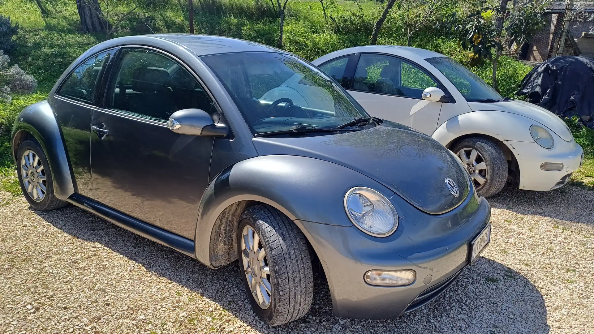 Volkswagen New Beetle Miami Grey - 1