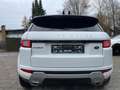 Land Rover Range Rover Evoque SE Dynamic Weiß - thumbnail 7