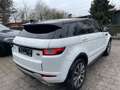 Land Rover Range Rover Evoque SE Dynamic Weiß - thumbnail 8