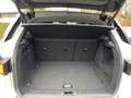 Land Rover Range Rover Evoque SE Dynamic Weiß - thumbnail 9