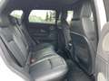 Land Rover Range Rover Evoque SE Dynamic Weiß - thumbnail 11