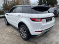 Land Rover Range Rover Evoque SE Dynamic Weiß - thumbnail 6