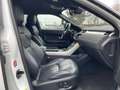 Land Rover Range Rover Evoque SE Dynamic Weiß - thumbnail 14