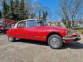 Citroen DS ds special 21 fd Red - thumbnail 7