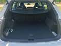 SEAT Tarraco 2.0TDI S&S FR DSG-7 150 Blanco - thumbnail 14