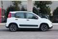 Fiat Panda Panda 1.0 firefly hybrid City Blanc - thumbnail 6