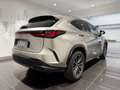 Lexus NX 350h NX II 2022 350h 2.5 Premium 4wd e-cvt Gris - thumbnail 4
