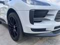 Porsche Macan 2.0 245cv pdk Bianco - thumbnail 26
