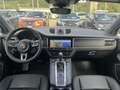 Porsche Macan 2.0 245cv pdk Bianco - thumbnail 8