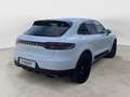 Porsche Macan 2.0 245cv pdk Bianco - thumbnail 4