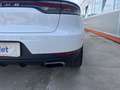 Porsche Macan 2.0 245cv pdk Bianco - thumbnail 25
