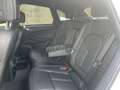 Porsche Macan 2.0 245cv pdk Bianco - thumbnail 23