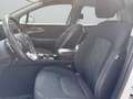 Kia Sportage 1,6 TGDI PHEV AWD Silber Aut. Blanc - thumbnail 7