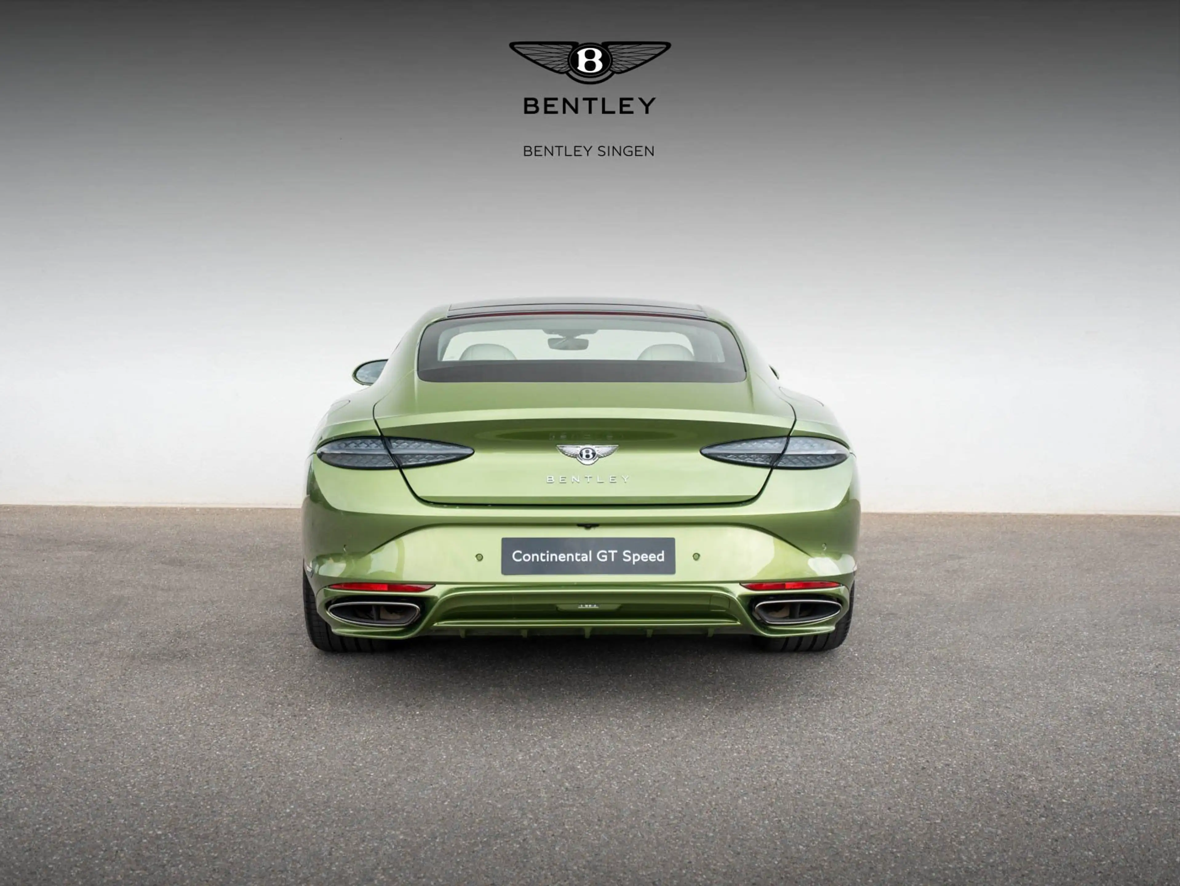 Bentley Continental GT Speed V8 Hybrid — photo 8