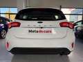 Ford Focus 1.5 Ecoblue Trend+ 120 Blanco - thumbnail 9