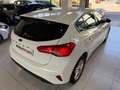 Ford Focus 1.5 Ecoblue Trend+ 120 Blanco - thumbnail 12
