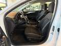 Ford Focus 1.5 Ecoblue Trend+ 120 Blanco - thumbnail 18