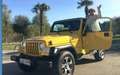 Jeep Wrangler TJ 2.4 Liter,5.Gang, G-Kat  Euro3 Silber - thumbnail 37
