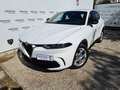 Alfa Romeo Tonale 1.6 diesel 130 CV TCT6 Super - MINI RATA Bianco - thumbnail 4