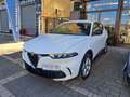 Alfa Romeo Tonale 1.6 diesel 130 CV TCT6 Super - MINI RATA Bianco - thumbnail 1
