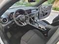 Alfa Romeo Tonale 1.6 diesel 130 CV TCT6 Super - MINI RATA Bianco - thumbnail 13