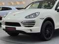 Porsche Cayenne Diesel*Panoramadach*Kamera*AHK*Ambiente* Weiß - thumbnail 7