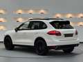 Porsche Cayenne Diesel*Panoramadach*Kamera*AHK*Ambiente* Weiß - thumbnail 3