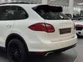 Porsche Cayenne Diesel*Panoramadach*Kamera*AHK*Ambiente* Weiß - thumbnail 10