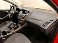 Ford Focus 1.6TDCi Trend 95 Rojo - thumbnail 24
