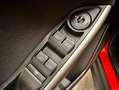 Ford Focus 1.6TDCi Trend 95 Rojo - thumbnail 13