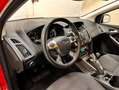 Ford Focus 1.6TDCi Trend 95 Rojo - thumbnail 18