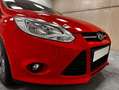 Ford Focus 1.6TDCi Trend 95 Rojo - thumbnail 8