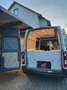 Opel Movano 2.3 CDTI L2H2  ecoflex Camper Weiß - thumbnail 1