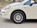 Fiat Punto 5Porte 1.4 EasyPower GPL 77cv E6 5P Street KM CERT Blanc - thumbnail 20
