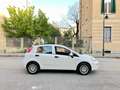 Fiat Punto 5Porte 1.4 EasyPower GPL 77cv E6 5P Street KM CERT Blanco - thumbnail 18