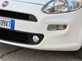 Fiat Punto 5Porte 1.4 EasyPower GPL 77cv E6 5P Street KM CERT Blanco - thumbnail 16