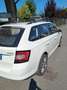 Skoda Fabia Wagon 1.4 tdi Ambition 90cv - thumbnail 4