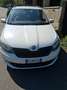 Skoda Fabia Wagon 1.4 tdi Ambition 90cv - thumbnail 3