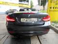 BMW 230 i Cabrio Sport Line Aut Navi/Harman/SHZ/PDC/T Gri - thumbnail 9