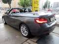 BMW 230 i Cabrio Sport Line Aut Navi/Harman/SHZ/PDC/T Gri - thumbnail 3