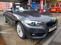 BMW 230 i Cabrio Sport Line Aut Navi/Harman/SHZ/PDC/T Gri - thumbnail 10