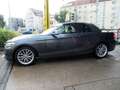 BMW 230 i Cabrio Sport Line Aut Navi/Harman/SHZ/PDC/T Gri - thumbnail 12