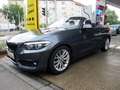BMW 230 i Cabrio Sport Line Aut Navi/Harman/SHZ/PDC/T Gri - thumbnail 2