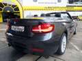BMW 230 i Cabrio Sport Line Aut Navi/Harman/SHZ/PDC/T Gri - thumbnail 11